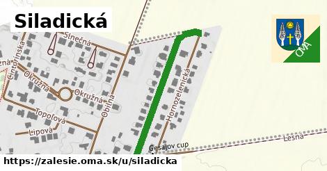 ilustrácia k Siladická, Zálesie - 349 m