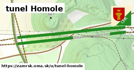 ilustrácia k tunel Homole, Zámrsk - 0,97 km