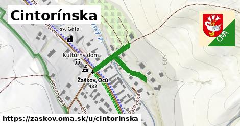 Cintorínska, Žaškov