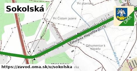 ilustrácia k Sokolská, Závod - 2,0 km