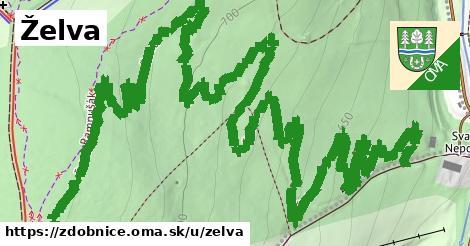 ilustrácia k Želva, Zdobnice - 2,3 km