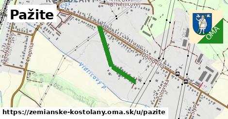 ilustrácia k Pažite, Zemianske Kostoľany - 458 m