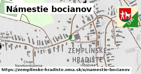 Námestie bocianov, Zemplínske Hradište