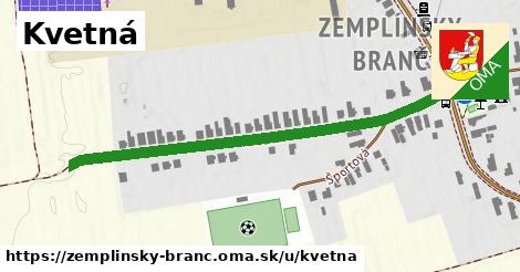 ilustrácia k Kvetná, Zemplínsky Branč - 560 m