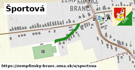 ilustrácia k Športová, Zemplínsky Branč - 174 m