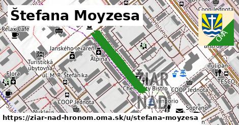 Štefana Moyzesa, Žiar nad Hronom