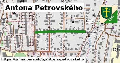 Antona Petrovského, Žilina