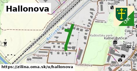 Hallonova, Žilina