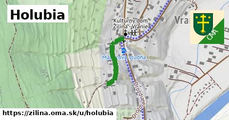 ilustrácia k Holubia, Žilina - 187 m