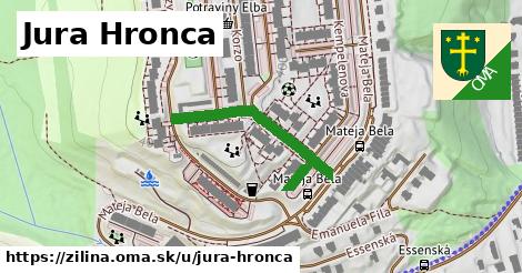 ilustrácia k Jura Hronca, Žilina - 313 m