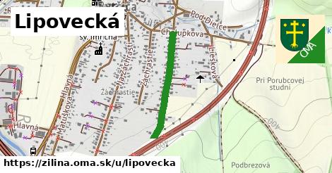 Lipovecká, Žilina