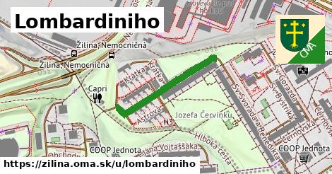 Lombardiniho, Žilina