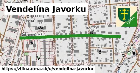 Vendelína Javorku, Žilina