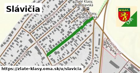 ilustrácia k Slávičia, Zlaté Klasy - 321 m