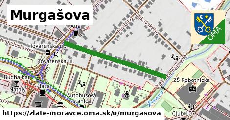 ilustrácia k Murgašova, Zlaté Moravce - 348 m