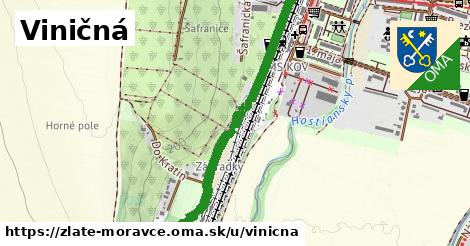 ilustrácia k Viničná, Zlaté Moravce - 0,99 km