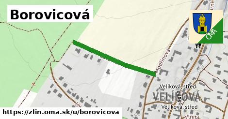 Borovicová, Zlín