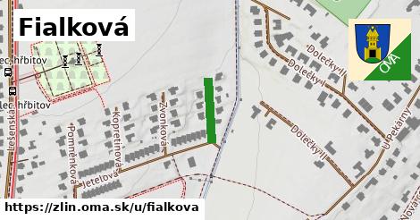 Fialková, Zlín
