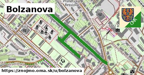 Bolzanova, Znojmo