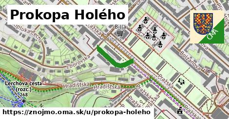 Prokopa Holého, Znojmo