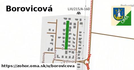 Borovicová, Zohor