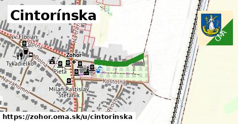 Cintorínska, Zohor