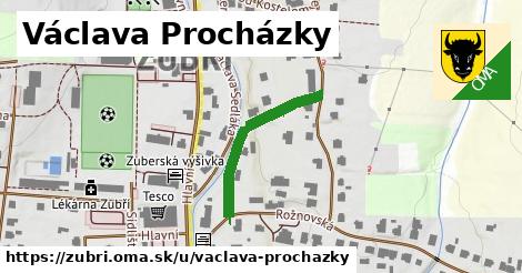 Václava Procházky, Zubří