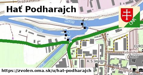ilustrácia k Hať Podharajch, Zvolen - 0,89 km