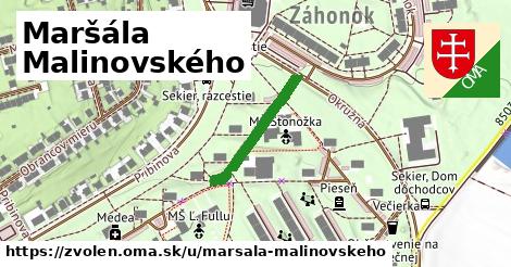 ilustrácia k Maršála Malinovského, Zvolen - 205 m