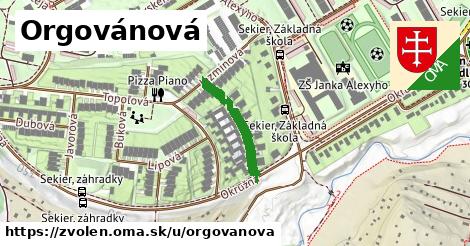 Orgovánová, Zvolen