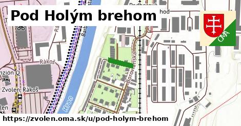 ilustrácia k Pod Holým brehom, Zvolen - 80 m