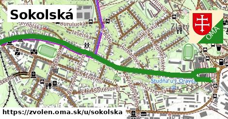 ilustrácia k Sokolská, Zvolen - 1,63 km