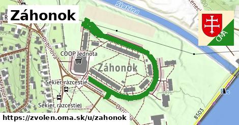 Záhonok, Zvolen