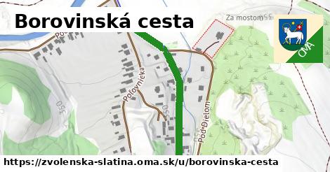 Borovinská cesta, Zvolenská Slatina