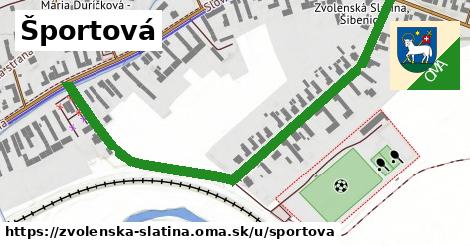 ilustrácia k Športová, Zvolenská Slatina - 0,72 km