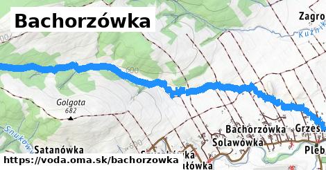 Bachorzówka