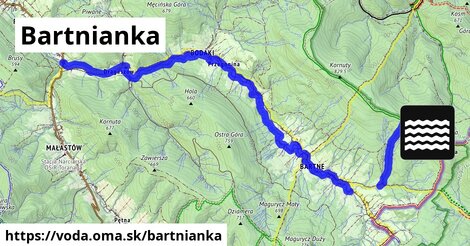 Bartnianka