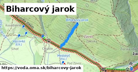 Biharcový jarok
