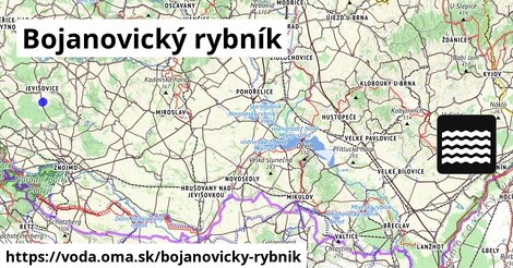 Bojanovický rybník