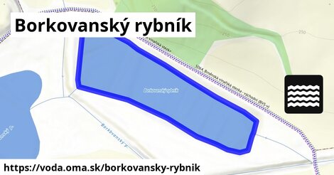 Borkovanský rybník