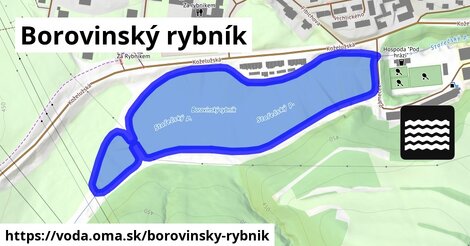 Borovinský rybník