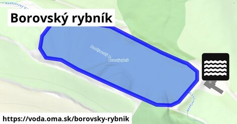 Borovský rybník