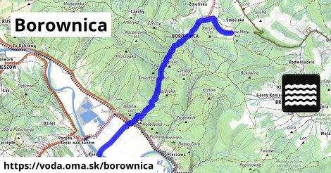 Borownica