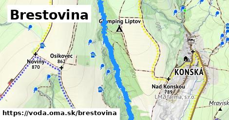 Brestovina