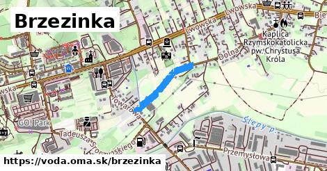 Brzezinka