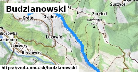 Budzianowski