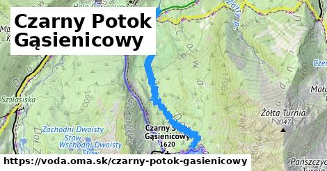 Czarny Potok Gąsienicowy