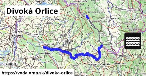 Divoká Orlice