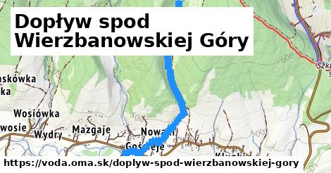 Dopływ spod Wierzbanowskiej Góry