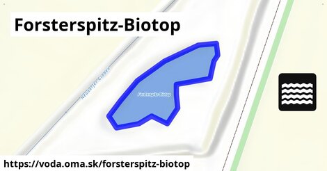 Forsterspitz-Biotop